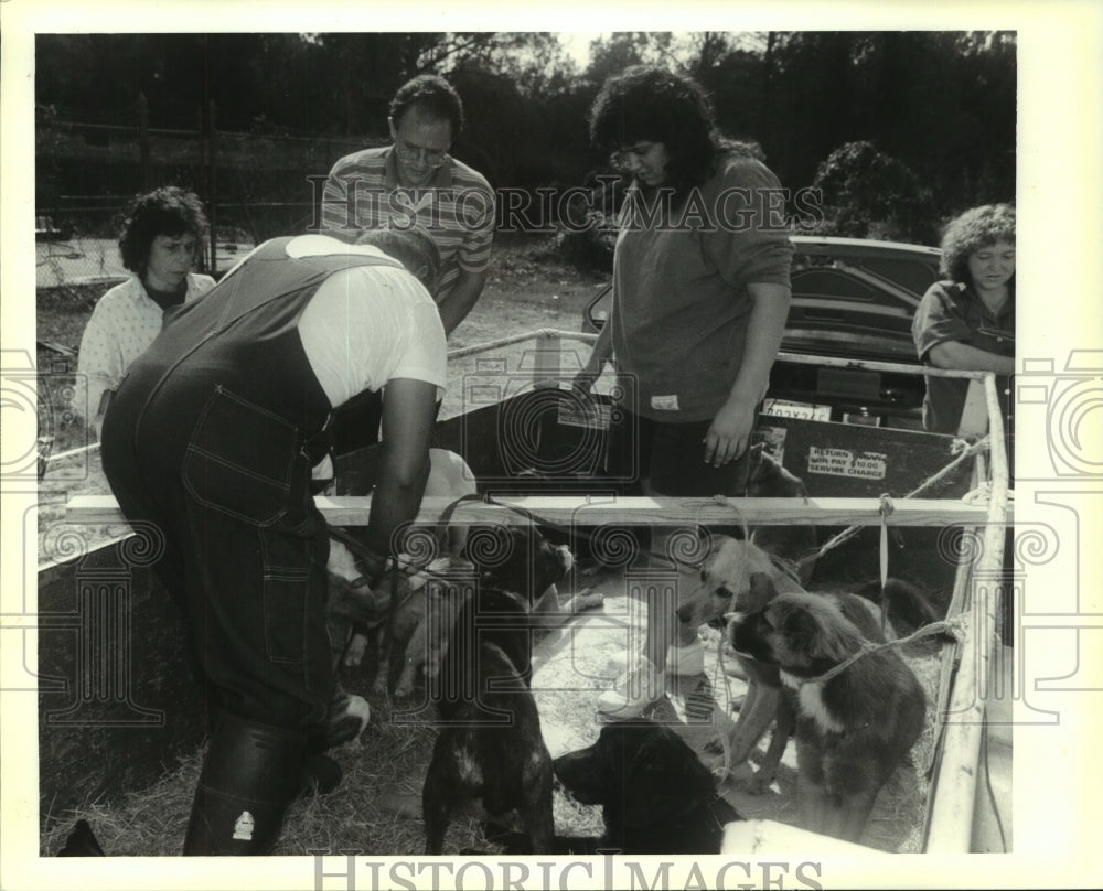 1990 Press Photo Animal Rights remove dogs from Franklinton pound - noa94315 - Historic Images