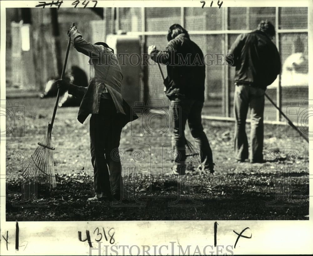 1983 Press Photo DWI offenders rake leaves in a Marrero park - noa94663 - Historic Images