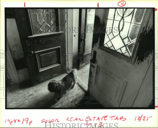 1993 Press Photo Interior of the Drewery Home at 1738 Milan St. - noa94707 - Historic Images