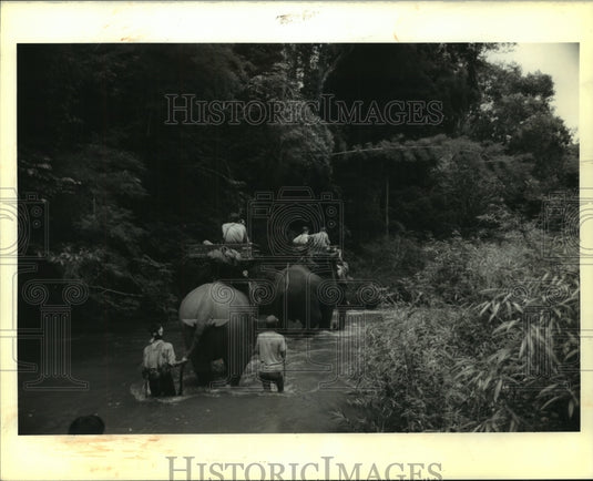 1990 Press Photo Alison and Michele Diboll ride elephants through Kashmir. - Historic Images