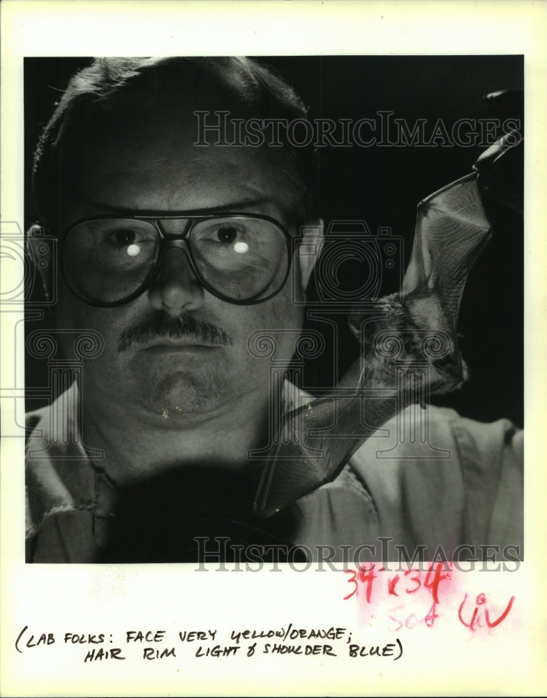 1993 Press Photo Animal trapper Greg du Treil with a Great Northern Yellow bat - Historic Images