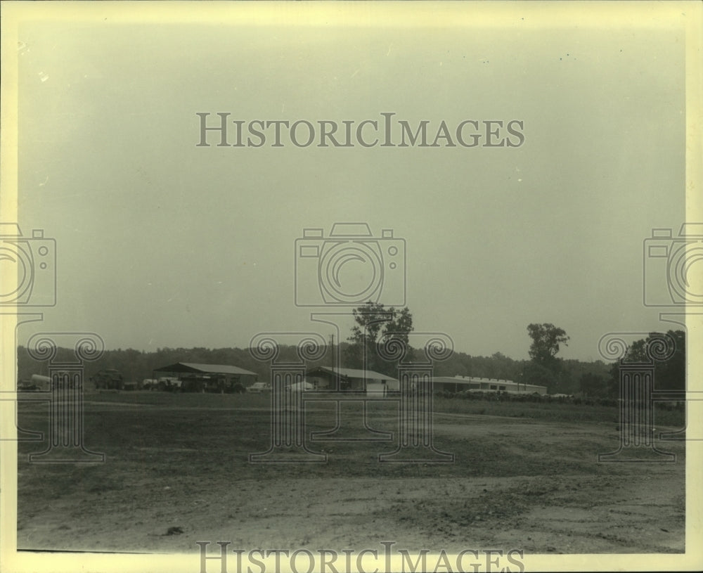 1980 Press Photo Fields at East Carroll Parish Prison Farm, Transylvania, LA - Historic Images