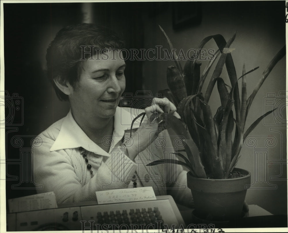 Press Photo Kermit II, frog living in Dottie Ecker&#39;s Bromeliad - noa96116 - Historic Images