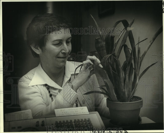 Press Photo Kermit II, frog living in Dottie Ecker's Bromeliad - noa96116 - Historic Images