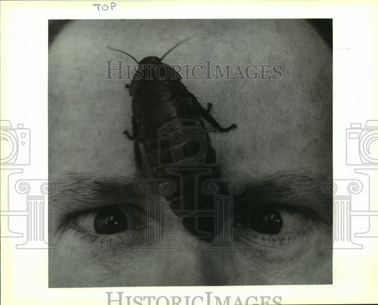 1992 Press Photo Pet Madascan hissing cockroach on Greg du Triel's forehead - Historic Images
