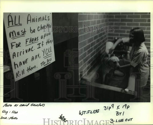 1993 Press Photo Groomer gives dog a flea bath - noa97435- Historic Images