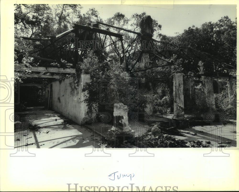 1989 Press Photo Elmwood Plantation ruins covered with weeds awaiting renovation - Historic Images