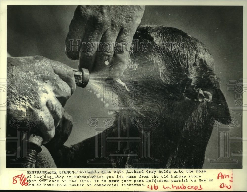 1987 Press Photo Richard Gray holds his dog Lady while washing his face. - Historic Images