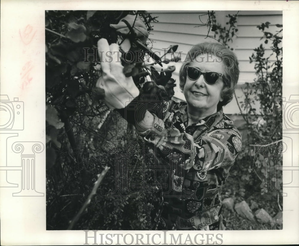 1964 Mrs. Engert has never missed a Sugar Bowl but does relax. - Historic Images