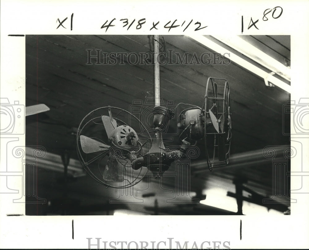 1978 Press Photo Gyrofans from White Pillars Emporium Hang from Ceiling - Historic Images