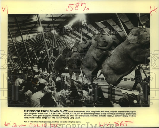 1992 Press Photo Walking Elephant Congo Line at Clyde Beatty-Cole Bros. Circus - Historic Images