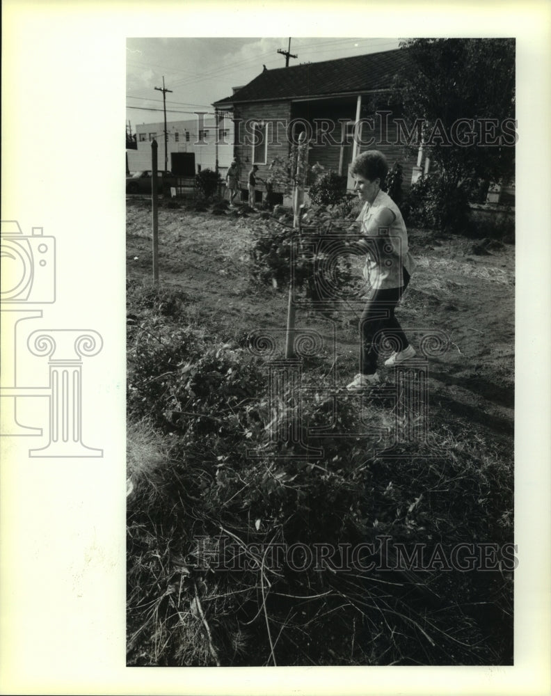 1993 Press Photo Catherine Finnan holds handful of brush from new Alpha Garden - Historic Images