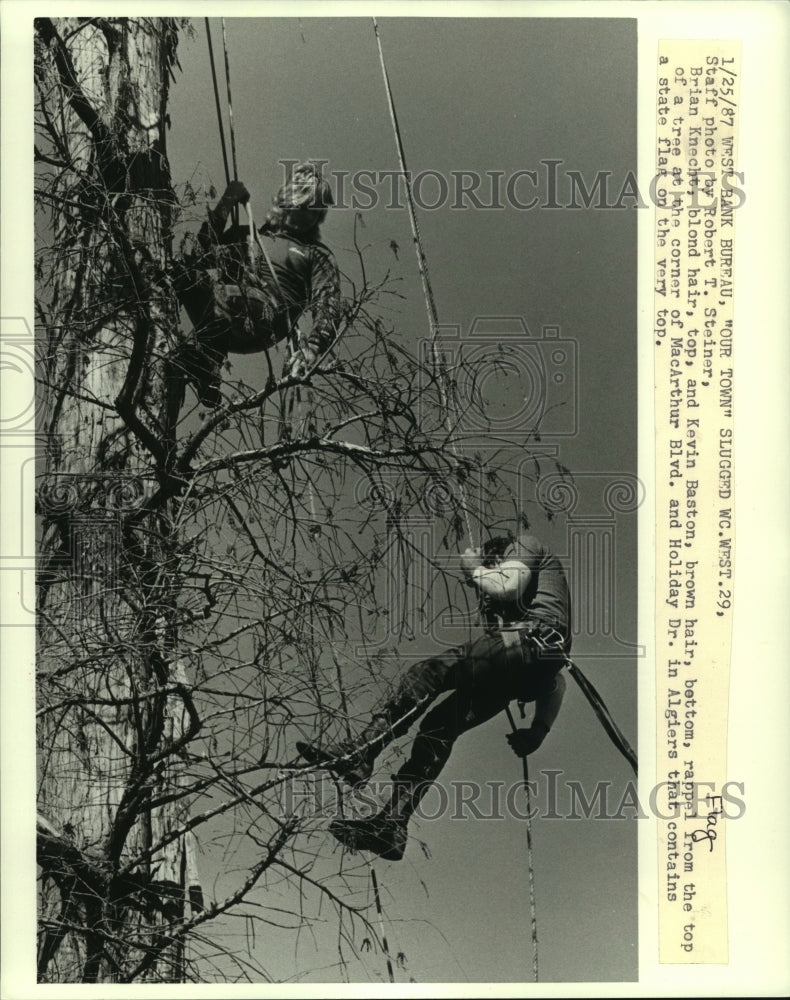 1987 Press Photo Brian Knecht &amp; Kevin Baston hangs American Flag on top of tree - Historic Images