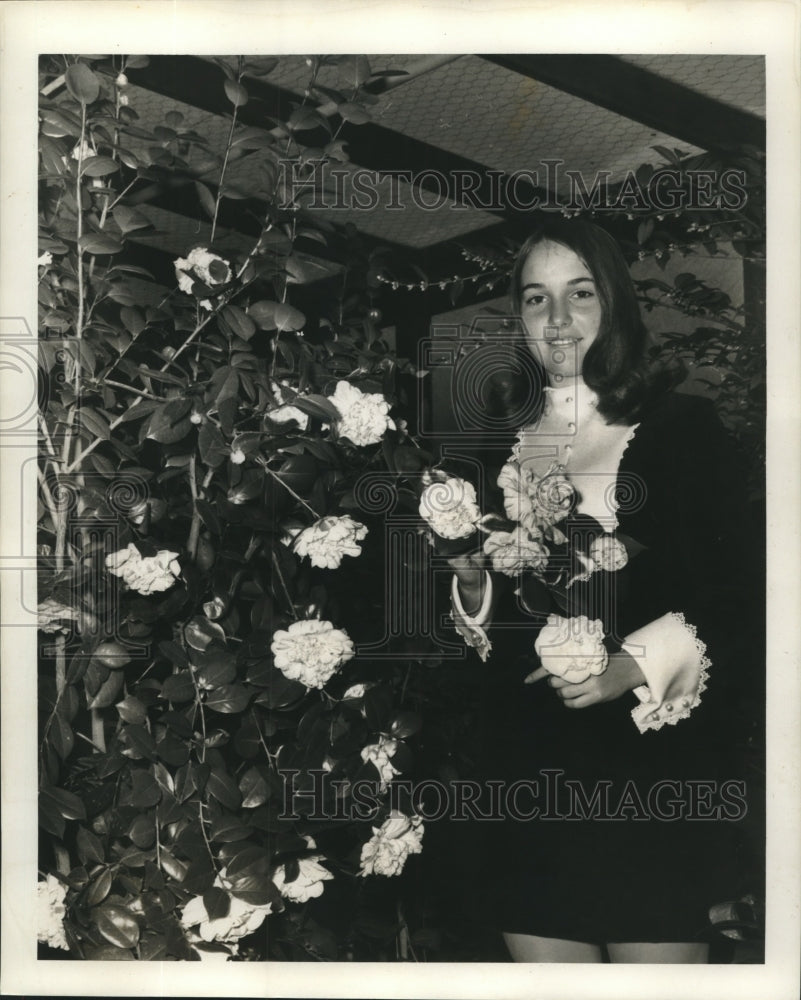 1969 Press Photo Large and beautiful blooms can be seen at the flower show. - Historic Images