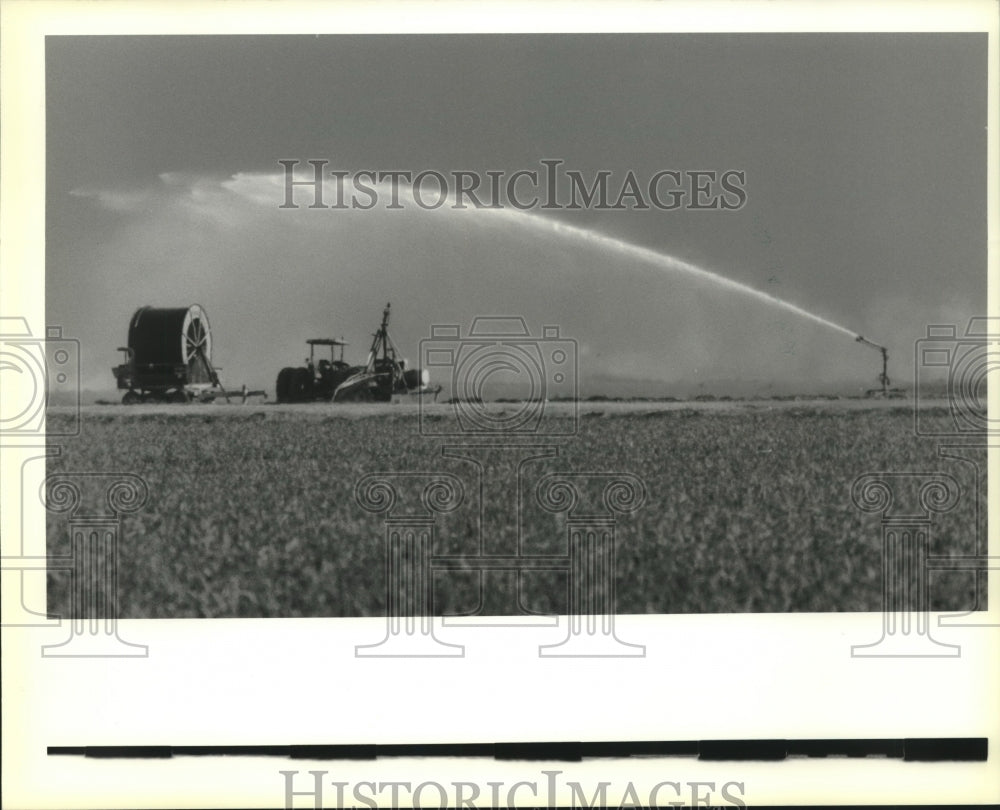 1990 Press Photo Irrigation occurring at sugarcane fields during drought - Historic Images