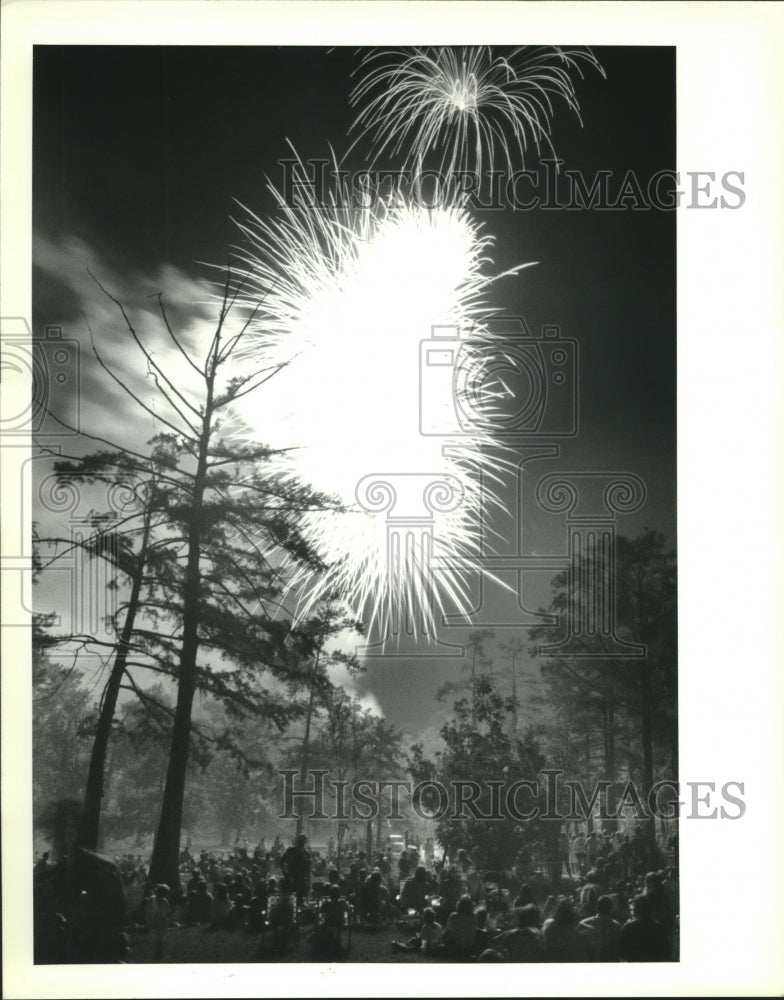 1992 Press Photo Fireworks light up the night in Bogue Falaya Park, Covington - Historic Images