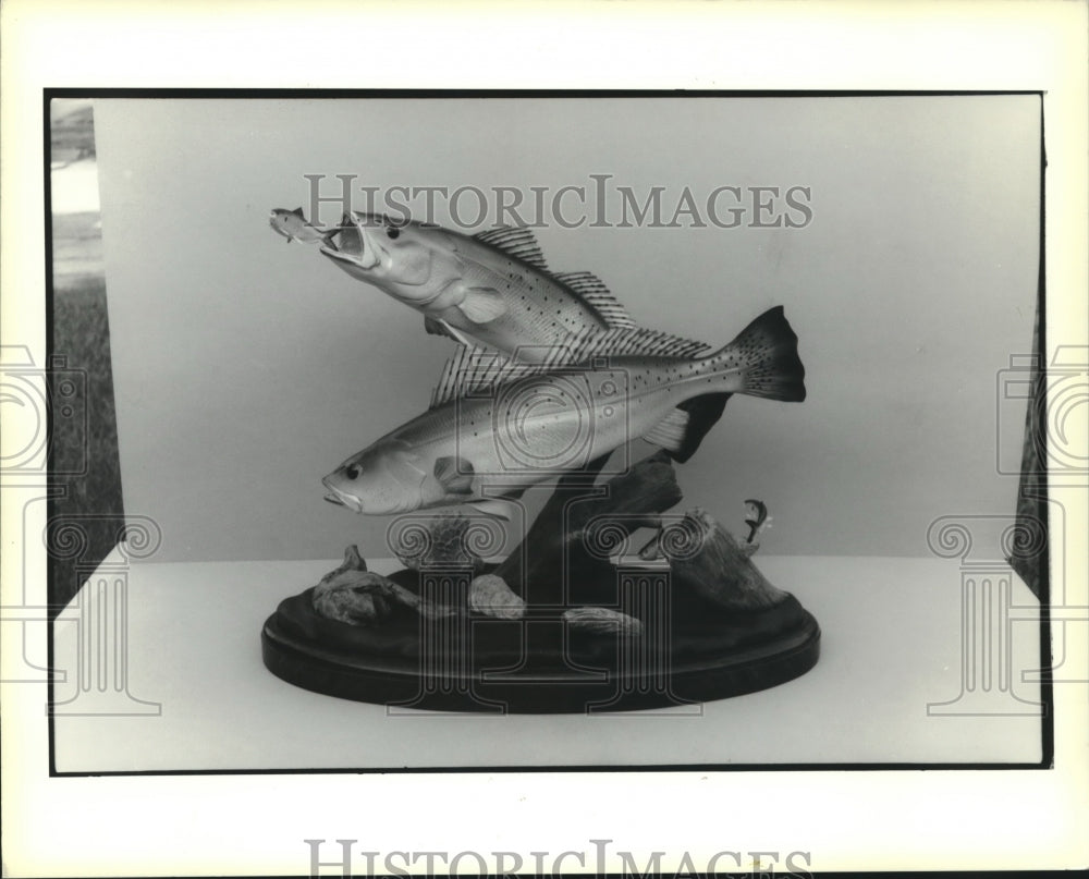 1989 Press Photo Two mounted fish showing one fish with its dinner. - Historic Images