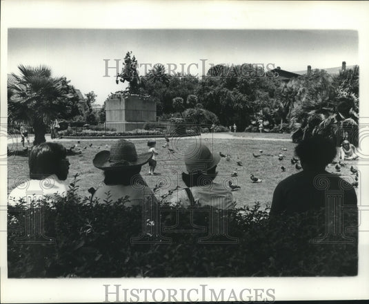1977 Press Photo sitting on park bench watching boy play feed birds, 4th of July - Historic Images