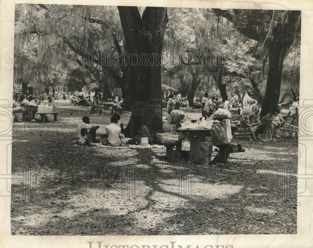 1969 Press Photo Picnicking under City Park&#39;s moss hung trees on July 4th - Historic Images