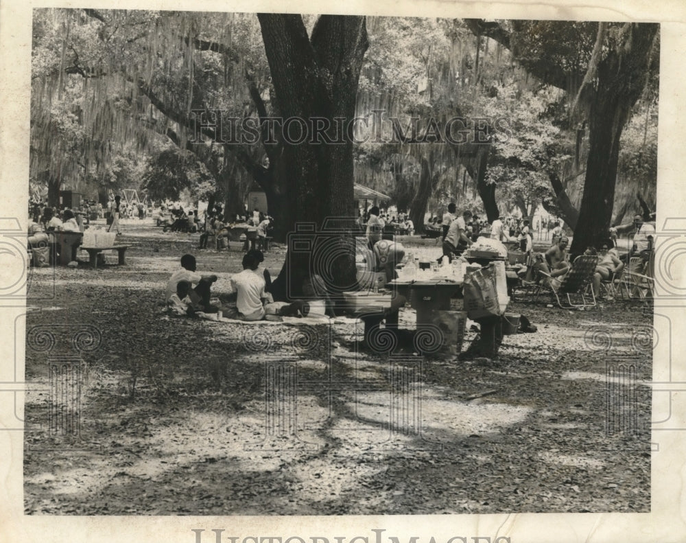 1969 Press Photo Picnicking under City Park's moss hung trees on July 4th - Historic Images