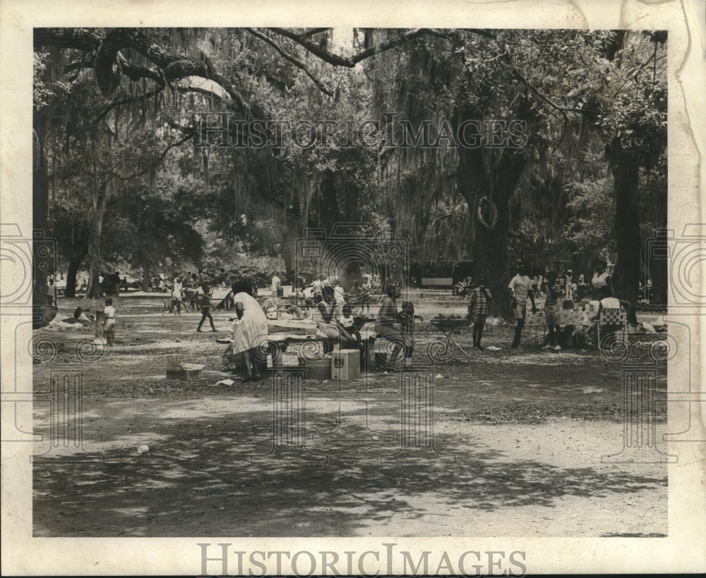 1969 Press Photo Fourth of July celebrants picnic in City Park, New Orleans. - Historic Images