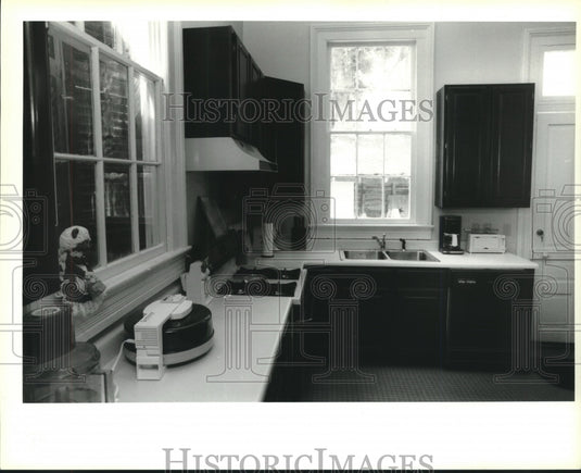 1994 Press Photo Barbara Ferguson's kitchen area. - nob09949 - Historic Images