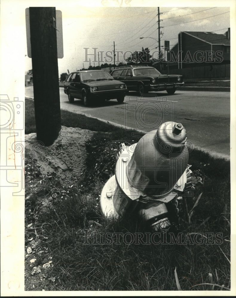 1984 Press Photo Fire Hydrant Damaged in Front of Anastasia Alexander School - Historic Images