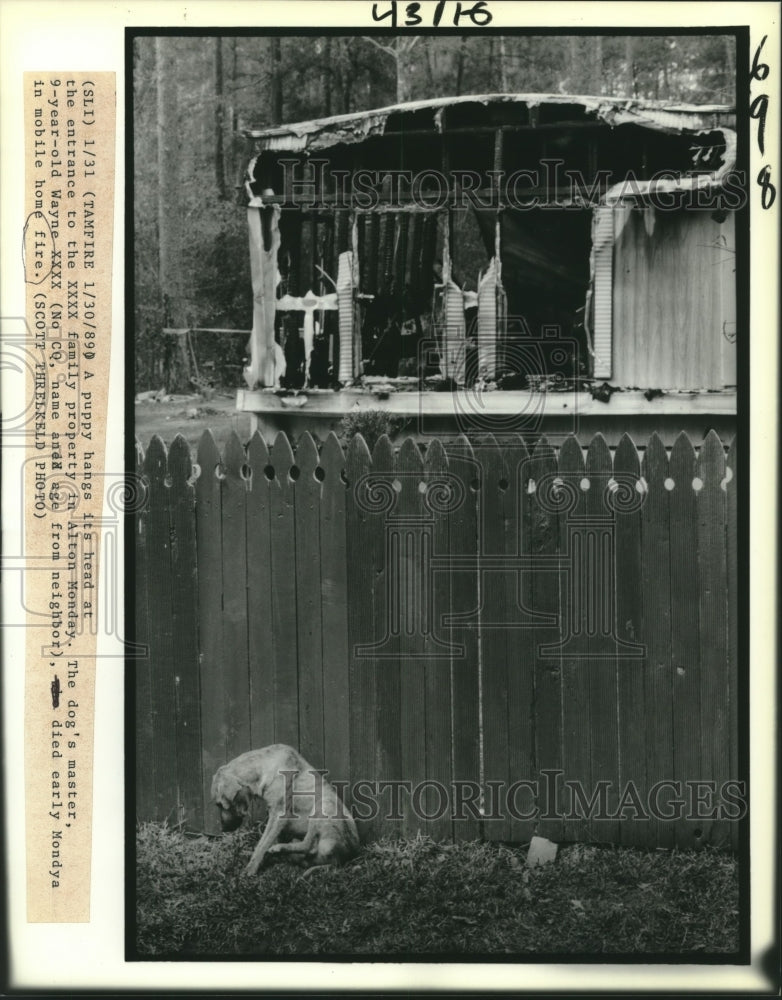 1989 Press Photo Puppy Mourns Fire Death of Nine Year Old Master, Alton - Historic Images