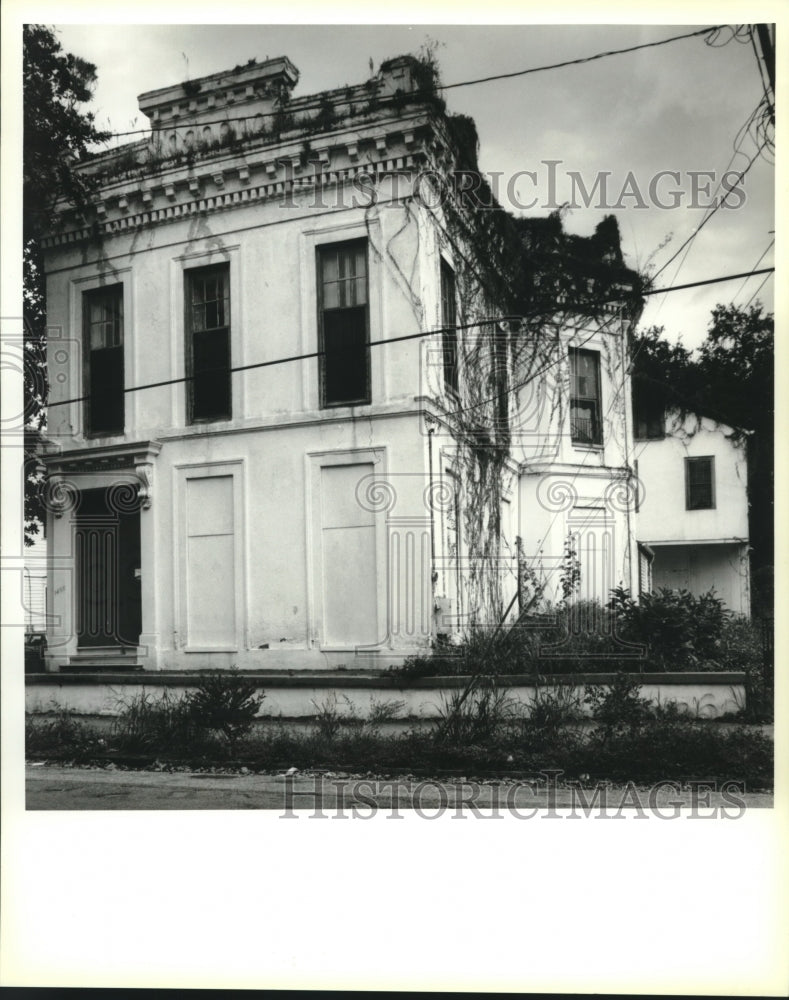 1995 Press Photo Exterior of Italianate mansion - Historic Images