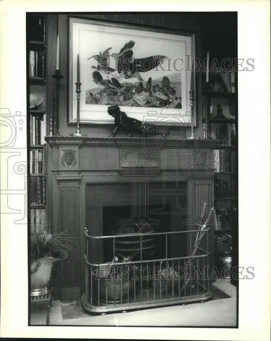 1993 Press Photo Fireplace at 1300 Philip Street - Historic Images