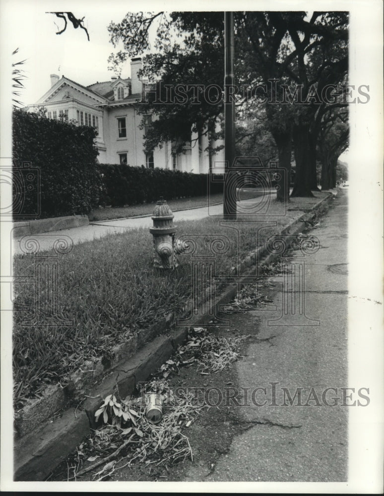 1976 Press Photo Fire hydrant - St. Charles near Audubon Park - nob11983 - Historic Images