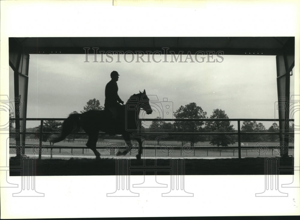 1991 Press Photo Richard Freeman of Freeman Arabians farm during riding lesson - Historic Images