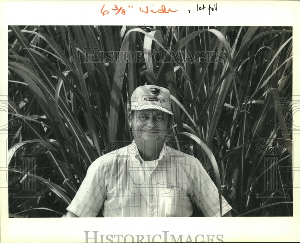 1988 Press Photo New Iberia sugar cane farmer Wayne Freyou next to his crops - Historic Images