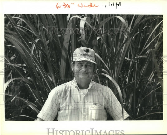 1988 Press Photo New Iberia sugar cane farmer Wayne Freyou next to his crops - Historic Images