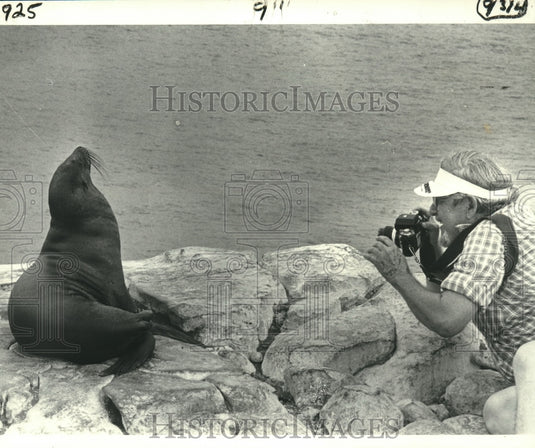 1983 Press Photo Jim Pitts takes photo of a sea lion at Galapagos Islands - Historic Images