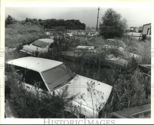 1994 Press Photo Wrecked & junk cars on Chalmette lot owned by Jerry Fulton - Historic Images
