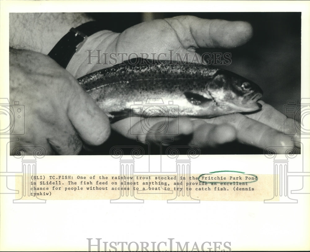 1990 Press Photo Rainbow trout stocked in the Fritchie Park Pond in Slidell - Historic Images