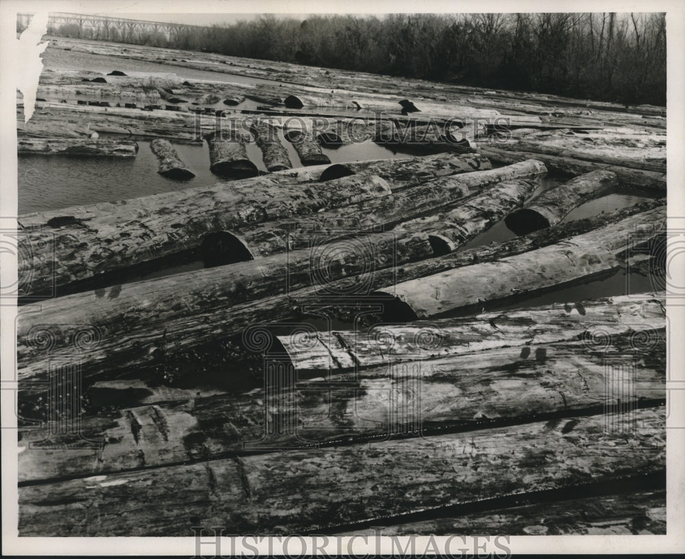 1956 Press Photo Logs stored at Freiberg Mahogany Mill pond - nob15563 - Historic Images