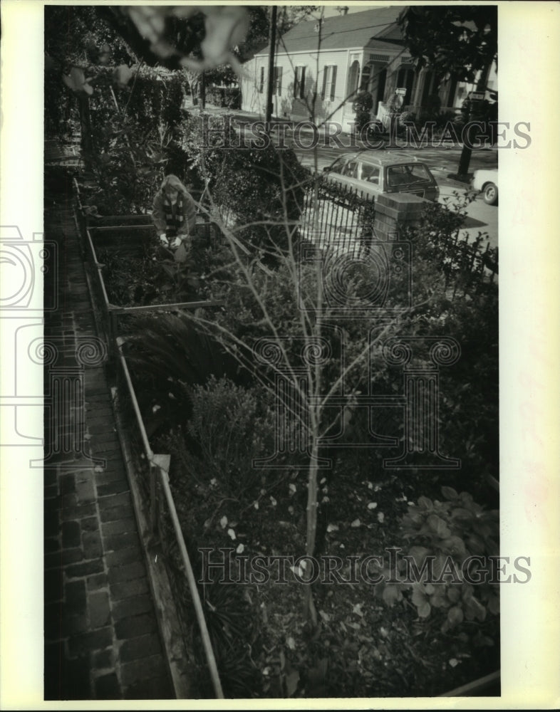 1993 Press Photo Small garden at home of Shannon Evans, 303 Audubon Street - Historic Images