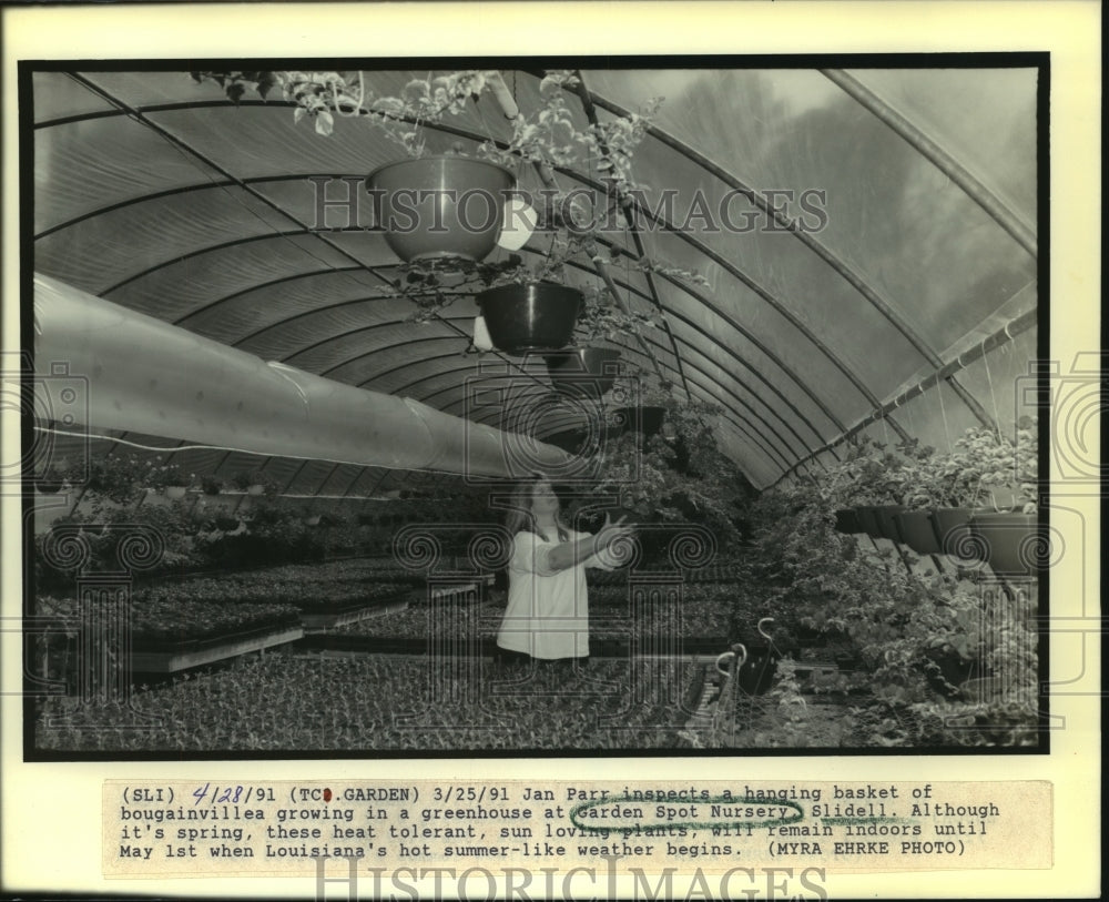 1991 Press Photo Jan Parr inspects a basket at Garden Spot Nursery, Slidell - Historic Images