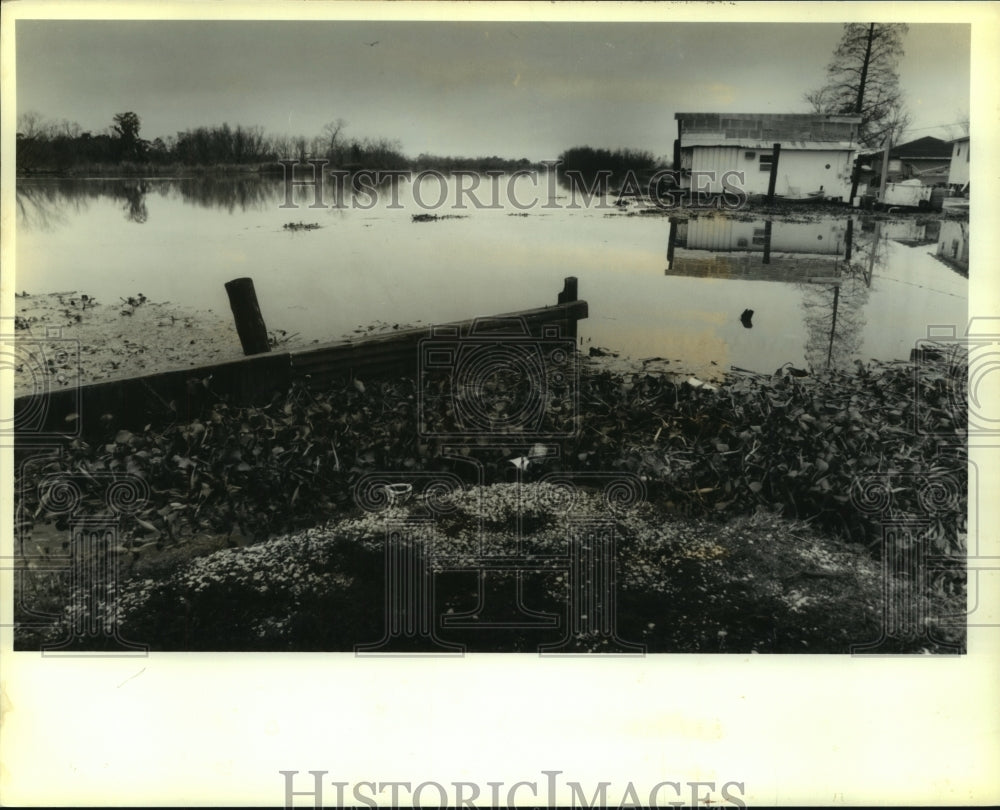 1991 Press Photo View of Bayou Gauche, left fork of Bayou Des Allemands River - Historic Images