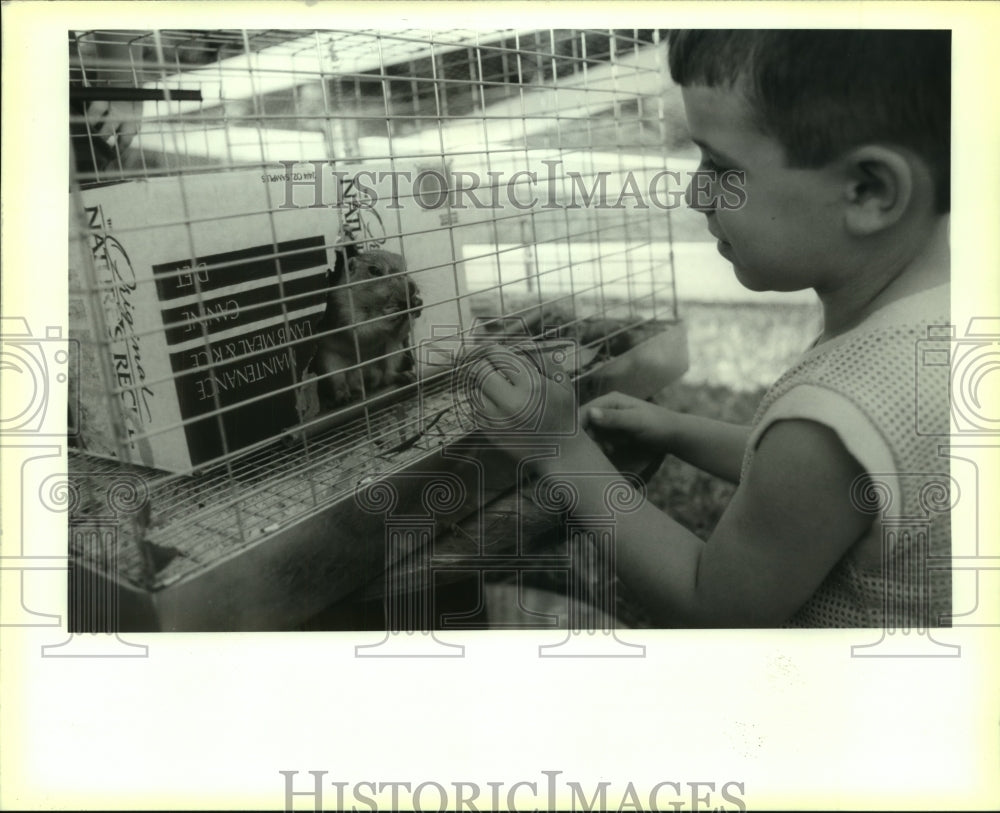 1993 Press Photo Scotty Himel pets a prarie dog at Garyville Timbermill Museum - Historic Images