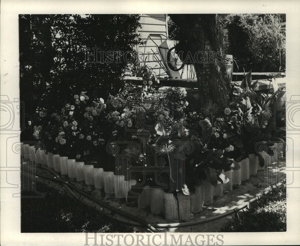 1964 A.G. Viskell&#39;s garden of little pinks &#39;China Doll.&#39;-Historic Images