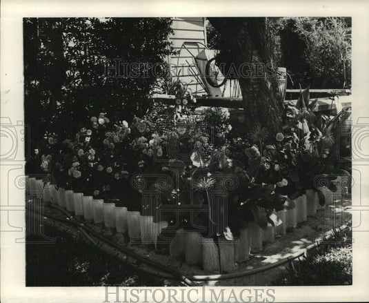 1964 A.G. Viskell's garden of little pinks 'China Doll.'-Historic Images