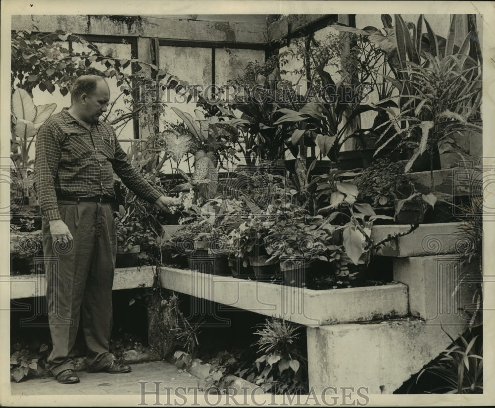 1961 Press Photo Large greenhouse to start plants and keep plants over winter. - Historic Images
