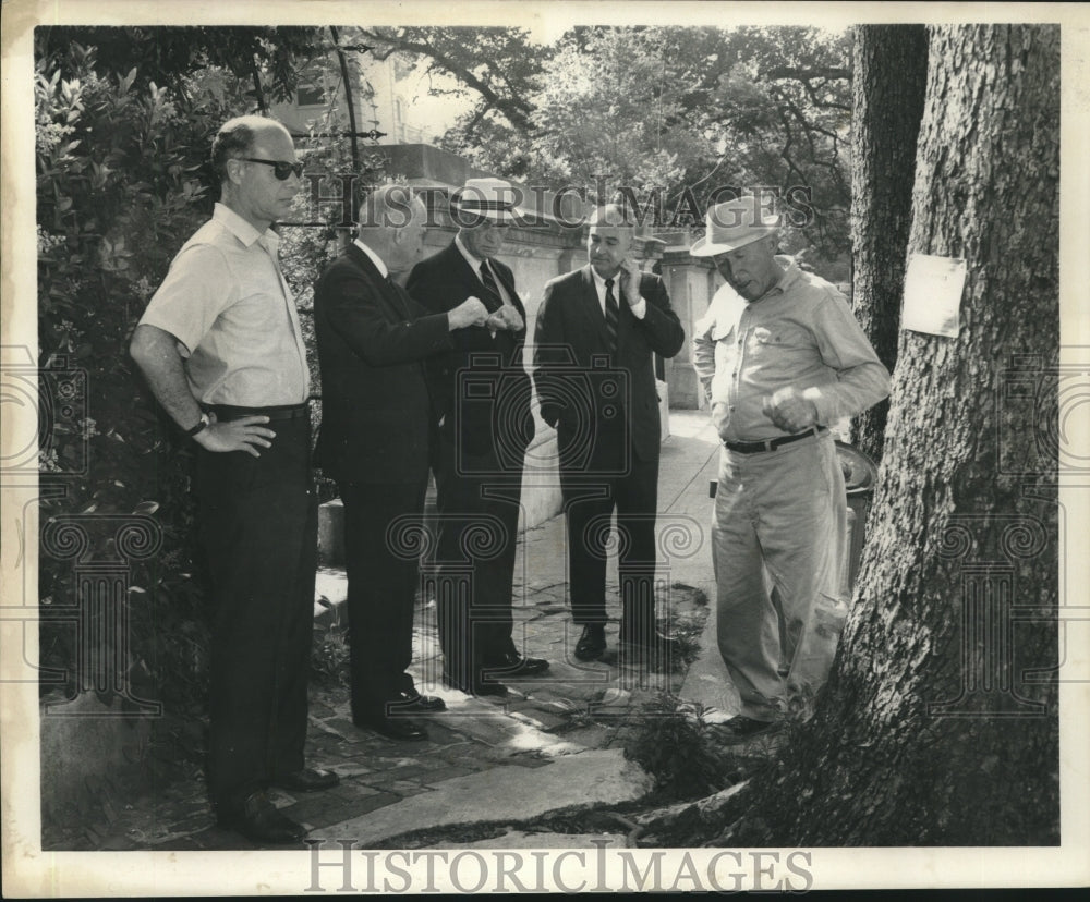 1969 Press Photo Park officials discussing plans to cut the trees - nob18117 - Historic Images