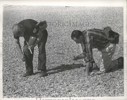 1961 Press Photo Peter Zodac T. Wayne Dupree, 1510 Joseph St. Deupree - Historic Images