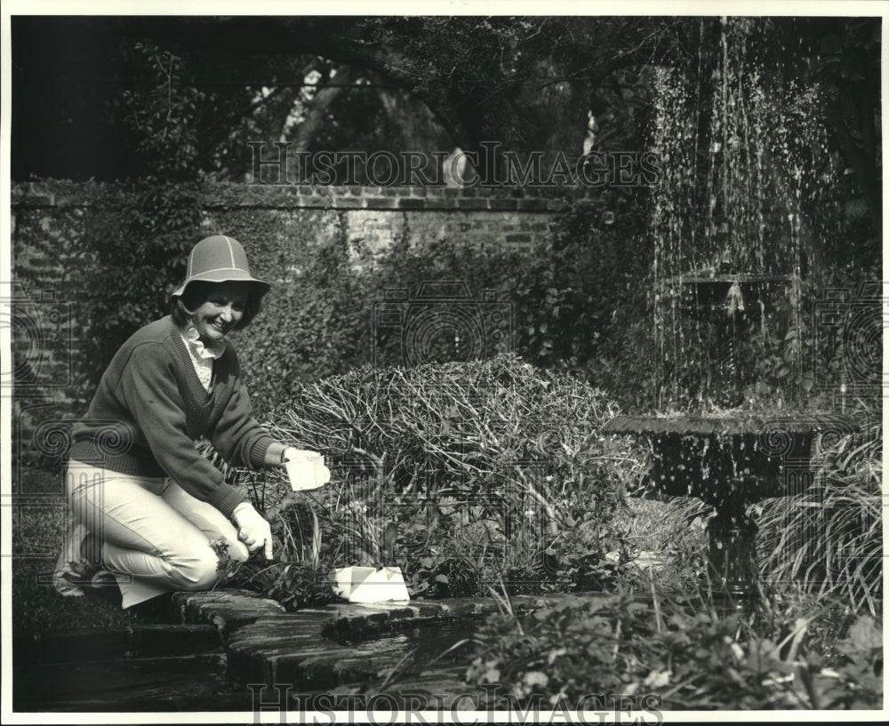 1986 Press Photo Mrs. Barbara Edisen Plants Dianthus in Her Spring Garden - Historic Images