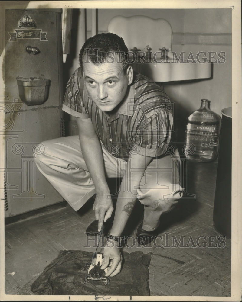 1964 Press Photo Frog caught in Wild Life and Fisheries Office - nob19155 - Historic Images