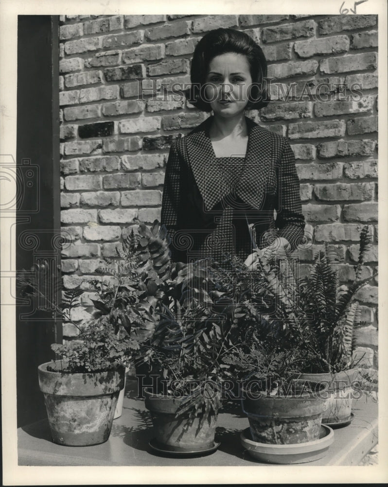 1965 Press Photo Mrs. Jerry Toushe with her fern plants - nob19359 - Historic Images